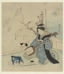 Geisha che accorda il suo shamisen