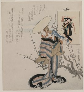 Donna vicino a un albero di prugne abbinata alla fanciulla del glicine, c. primi anni 1830 da Yanagawa Shigenobu