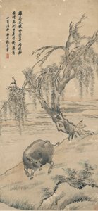 Bufalo sulla riva del salice