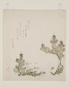 (stampa a blocchi di legno a colori) da Yashima Gakutei