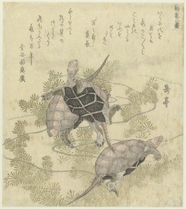 Tre tartarughe tra le piante acquatiche da Yashima Gakutei
