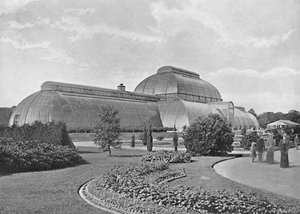 La grande serra delle palme, Kew Gardens, c1896 da York and Son