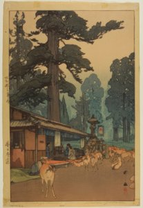 Strada per il Santuario di Kasuga