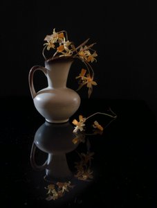  da Yuanwei Zuo APA