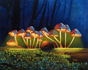 Funghi luminosi notturni da Yue Zeng