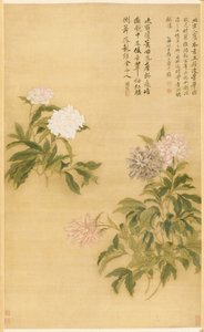 Peonie, 1685 da Shouping Yun
