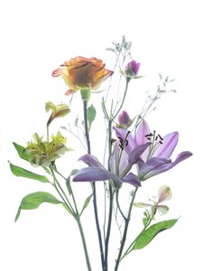  da Yun Thwaits