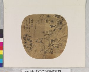 Crisantemo e melograno da Yun Wu