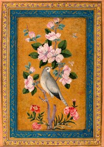 Uccello su un ramo fiorito da Yusuf Zaman