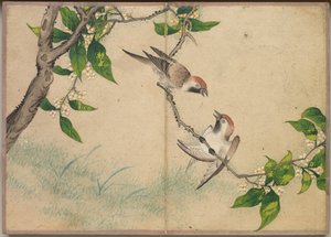 Album da Scrivania: Dipinti di Fiori e Uccelli (Passeri che Chiacchierano) da Zhang Ruoai