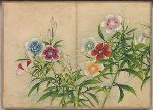 Album da Scrivania: Dipinti di Fiori e Uccelli (Garofani)