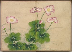 Album da Scrivania: Dipinti di Fiori e Uccelli (fiori di malva) da Zhang Ruoai