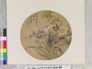 Fiori e roccia