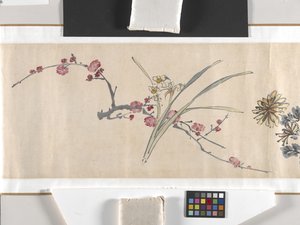 Fiori colorati da Zhimian Zhou
