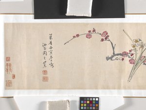 Fiori colorati da Zhimian Zhou