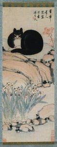 Gatto nero e narciso, XIX secolo
