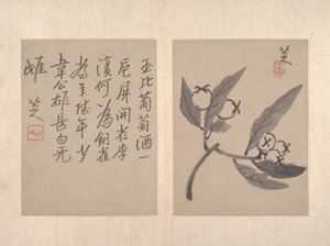  da Zhu da (attr.to) Bada Shanren