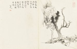 Paesaggi e Fiori, album di sei fogli da Zhu da Bada Shanren