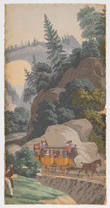America scenica