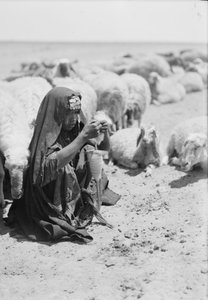 Una giovane pastorella beduina che fila vicino a Beersheba da . .