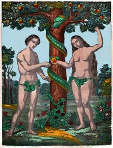 Adamo ed Eva (incisione)