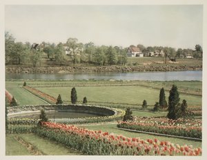 Scena suburbana americana, c. 1928 da John Pardon