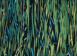 Fibra di carbonio PMC in una matrice polimerica da Frederick (attr. to) Barnard