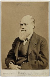 Charles Darwin, naturalista inglese, c 1870s da Ferdinand Georg Waldmuller