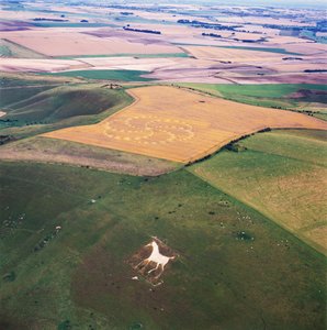 Cerchio nel grano in un campo di grano, Milk Hill, Alton Priors, Vale of Pewsey, Wiltshire da Ferdinand Georg Waldmuller