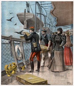 Esperimenti con piccioni viaggiatori