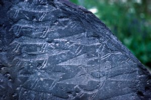 Dettaglio delle incisioni rupestri nel Parco Nazionale di Naquane, Valcamonica da Isabel Redie