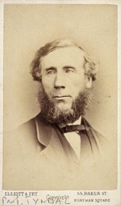 John Tyndall, fisico irlandese, c. 1875