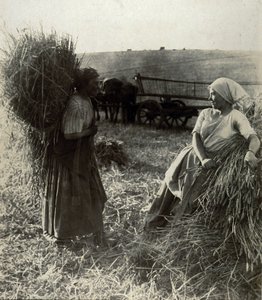 Le Mietitrici, circa 1900