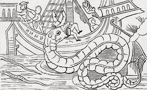 Uomo mangiato da un serpente marino da . .
