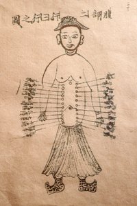 Museo della Medicina Tradizionale Vietnamita, I canali e i vasi, Libro di agopuntura, Ho Chi Minh City, Vietnam