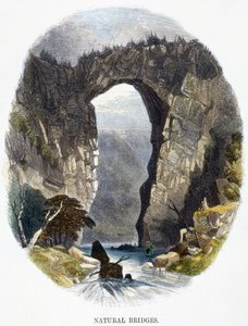 Ponti naturali