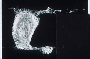 SILICATI, LM Silicato di sodio