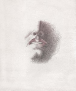 Studio per il volto di un uomo: bocca e naso. circa 1830 da . .