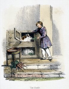 La Gabbia, c 1845