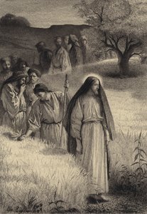 Gesù e i suoi discepoli nel campo di grano