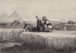 La fuga in Egitto