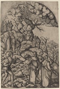 San Filippo Benizzi Guarisce un Mendicante da after Andrea del Sarto