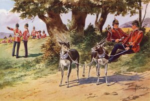 Le antilopi domestiche del Reggimento Reale di Warwickshire da after Edgar Alfred Holloway