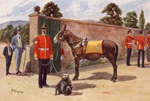 Il mulo e la scimmia domestici del Reggimento Middlesex da after Edgar Alfred Holloway
