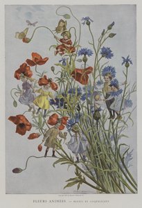 Fiori animati: fiordalisi e papaveri