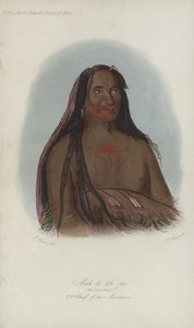 Mah-to-toh-pa, I quattro orsi, secondo capo dei Mandan da after George Catlin