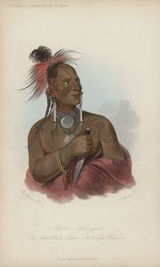 Meach-o shin-gaw, Il piccolo orso bianco, un guerriero Konza da after George Catlin