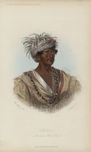 Tuch-ee, un capo di guerra Cherokee da after George Catlin