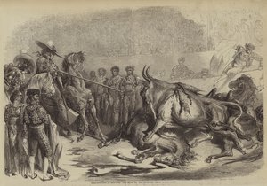 Corrida a Bayonne, il colpo del picador