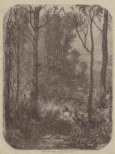 Sotto gli alberi da Gustave after Dore